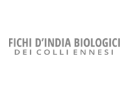 logo-fichidindiabio